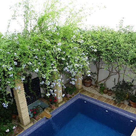 Casa La Loba Otel Medina-Sidonia Dış mekan fotoğraf