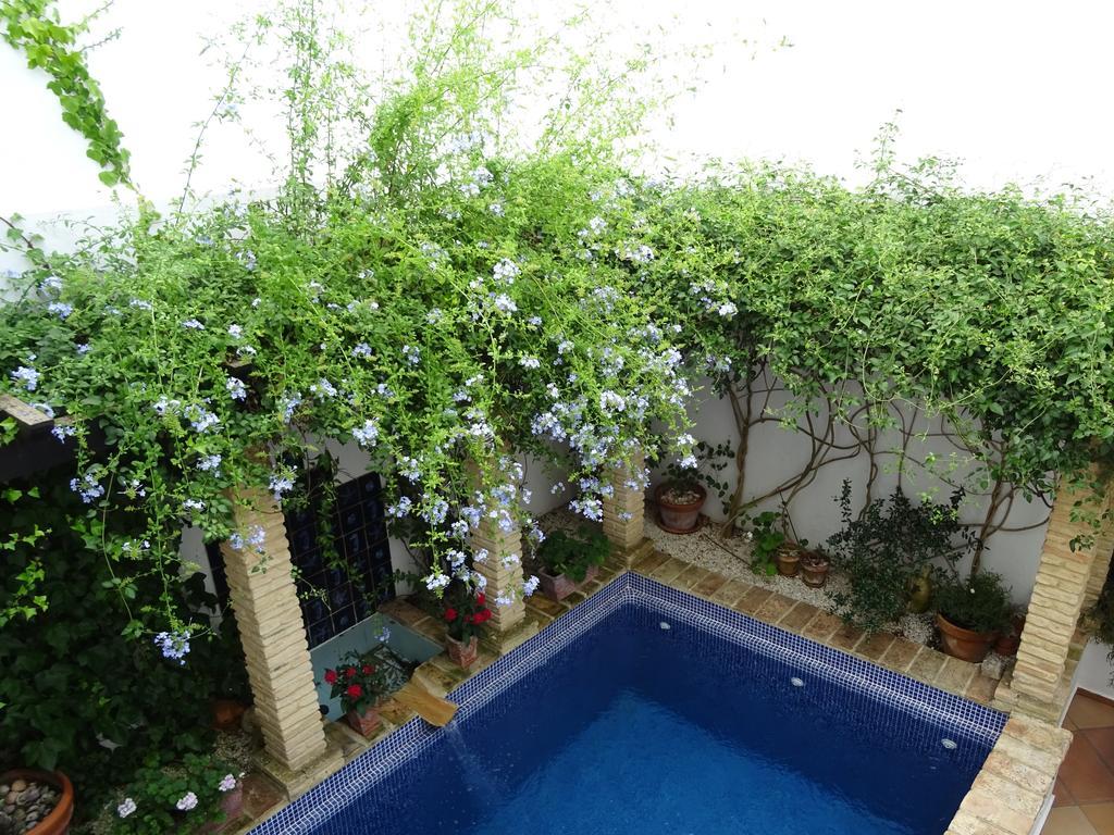 Casa La Loba Otel Medina-Sidonia Dış mekan fotoğraf