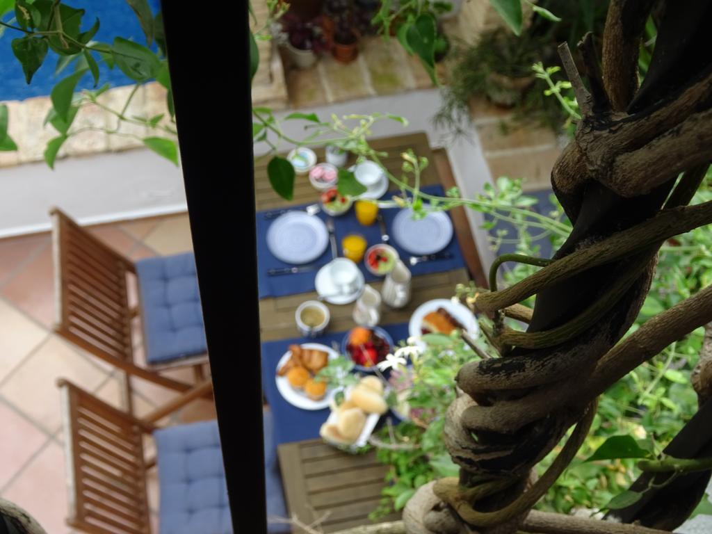 Casa La Loba Otel Medina-Sidonia Dış mekan fotoğraf