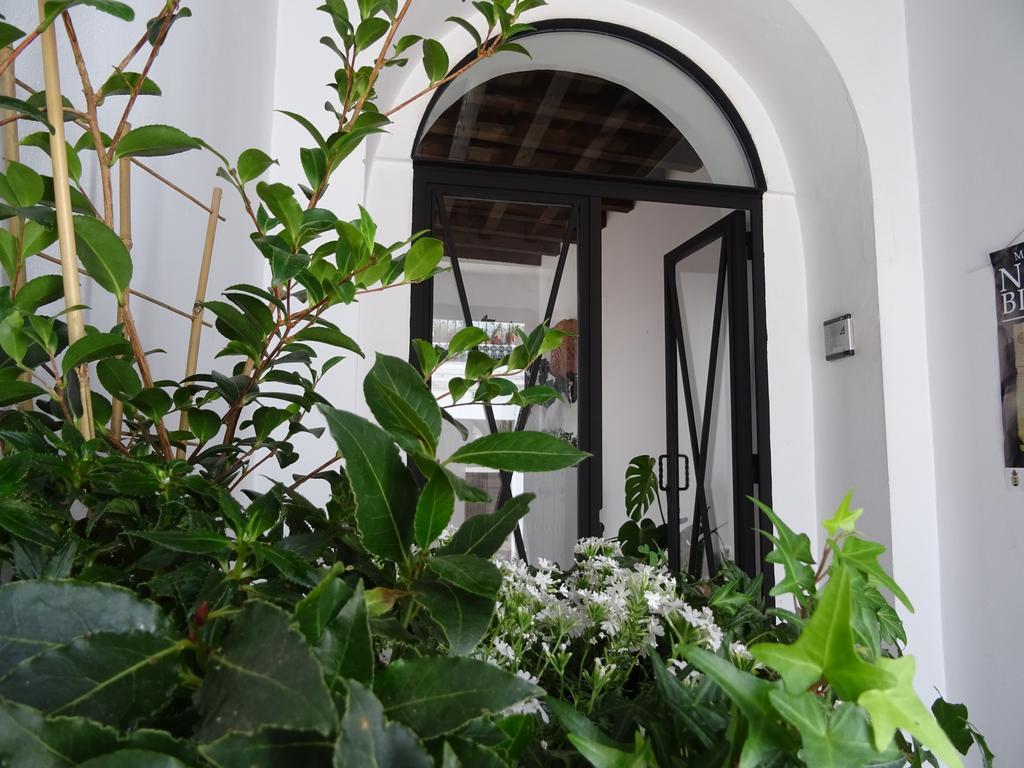 Casa La Loba Otel Medina-Sidonia Dış mekan fotoğraf